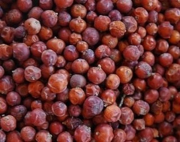 BenimAktar Ardıç Tohumu 1 Kg - Resim 2