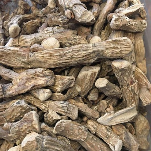 BenimAktar Hazanbel Kökü 250 Gr - Resim 2