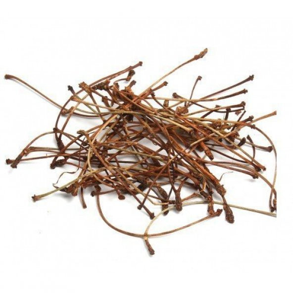 BenimAktar Kiraz Sapı 100 Gr - Resim 2