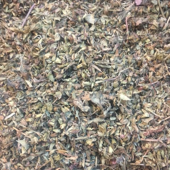 BenimAktar Oğul Otu 500 Gr - Resim 2