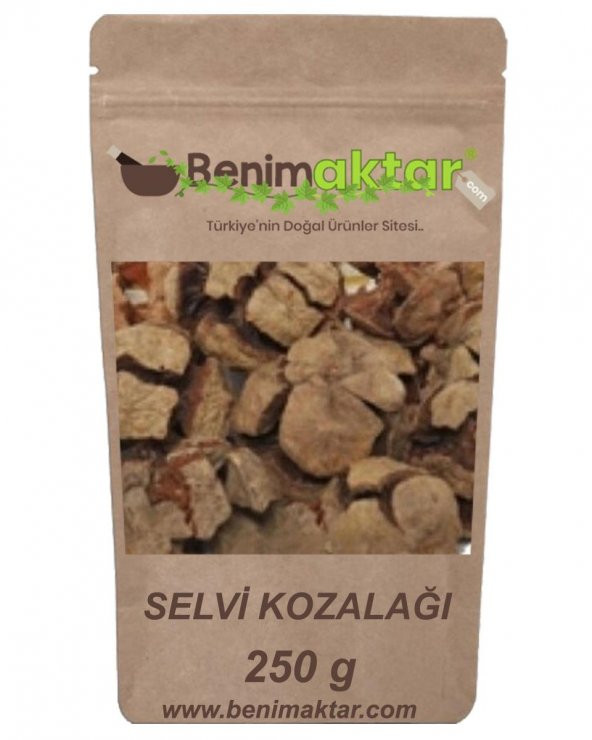BenimAktar Servi Selvi Kozalağı Yeni Mahsül 250 Gr ürün görseli 1