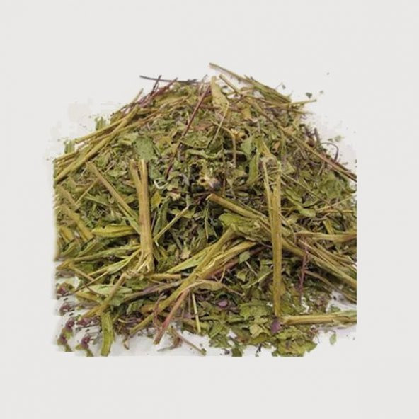 BenimAktar Yakı Otu 500 Gr - Resim 2