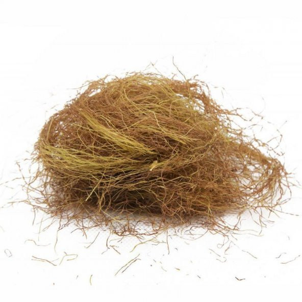 BenimAktar Mısır Püskülü 1 Kg - Resim 2
