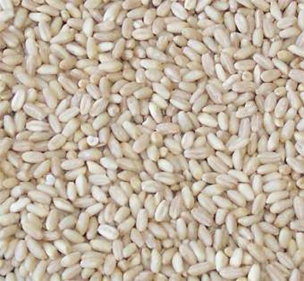 BenimAktar Buğday Aşurelik 1 Kg - Resim 2