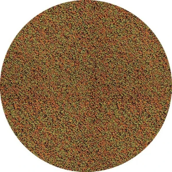 Tetra Tetramin Granules 100 gr (Açık) Kilitli  Poşette Gönderilir Skt : 06/2028 ürün görseli 1