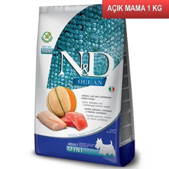 ND Tahılsız Ocean Morina Balıklı Bal Kabaklı ve Kavunlu Mini Irk Yetişkin Köpek Maması 1 Kg AÇIK ürün görseli 1