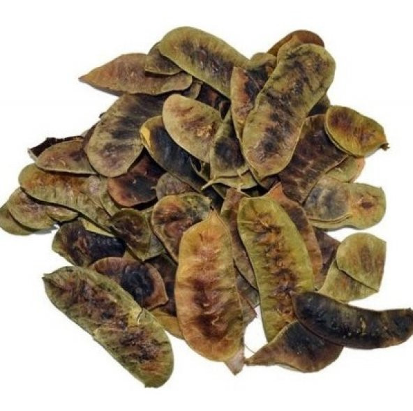 Açlık Otu 500 Gr Ücretsiz Kargo ürün görseli 1