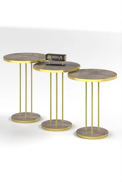 ZİGON SEHPA TERRA GOLD GORDİON - Resim 3