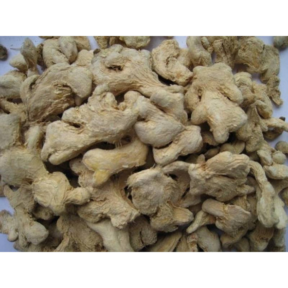 Kök Zencefil 100 Gr Ücretsiz Kargo ürün görseli 1
