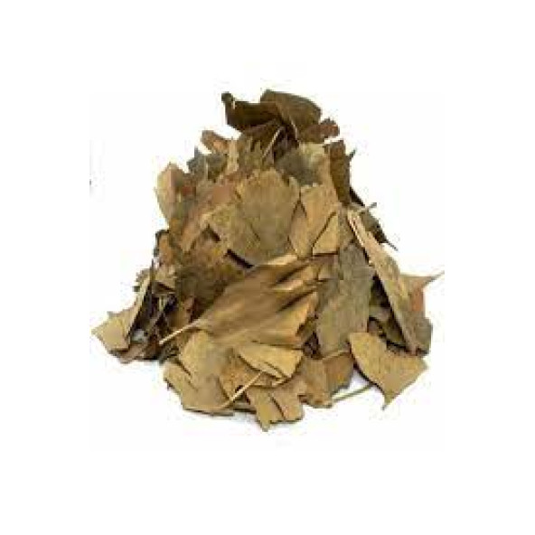 Ginkgo Biloba Yaprağı 50 Gr Ücretsiz Kargo ürün görseli 1