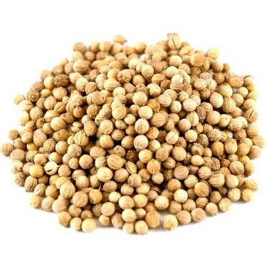 Tane Kişniş 100 Gr Ücretsiz Kargo ürün görseli 1