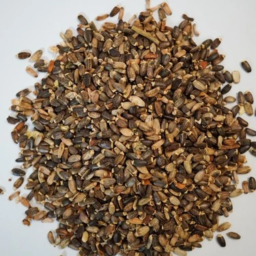Deve Dikeni Tohumu 250 Gr Ücretsiz Kargo ürün görseli 1