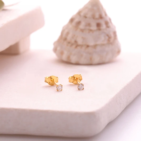 925 Ayar Gümüş Minimal Tektaş Küpe- ÇAP:2,5 mm ürün görseli 1