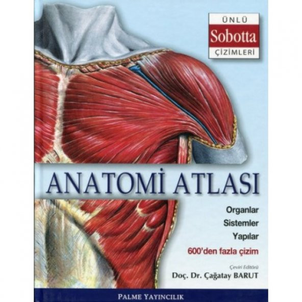 Anatomi Atlası Ünlü Sobotta Çizimleri - Palme ürün görseli 1