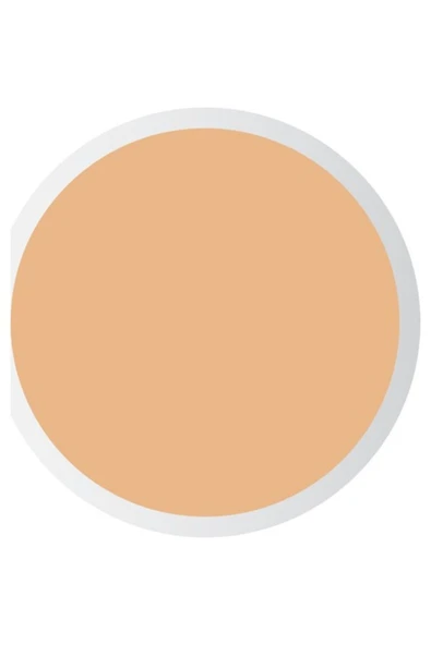 PASTEL PROFASHION LİKİT CONCEALER 104 ürün görseli 1