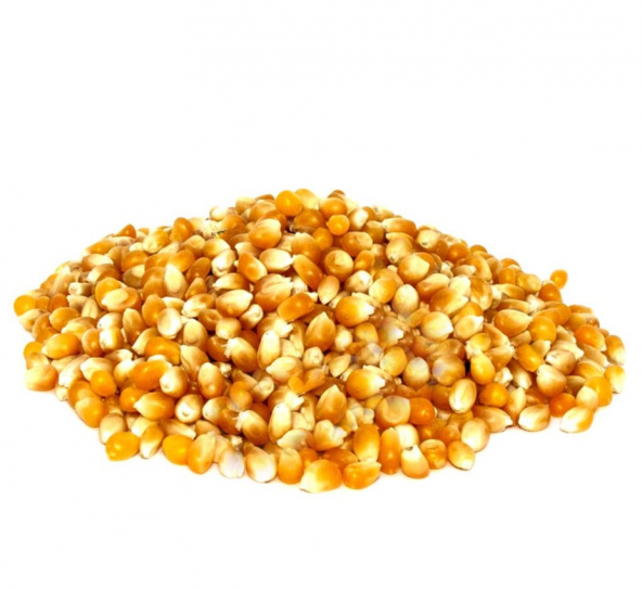Cin Mısır 1 KG Ücretsiz Kargo ürün görseli 1