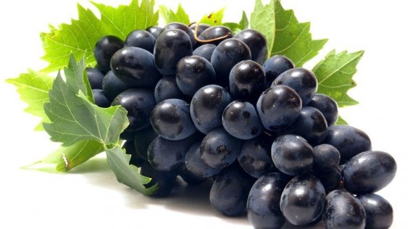 Tüplü Erkenci Yüksek Aromalı Black Magic ÜzümFidanı ürün görseli 1