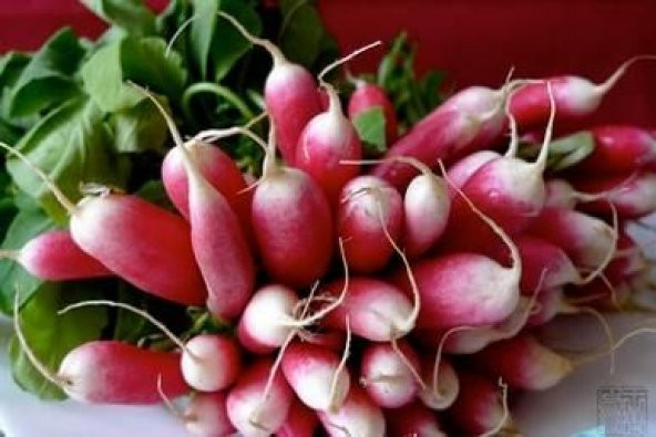 Doğal Fransız Kahvaltısı Turp Tohumu (50 tohum) ürün görseli 1