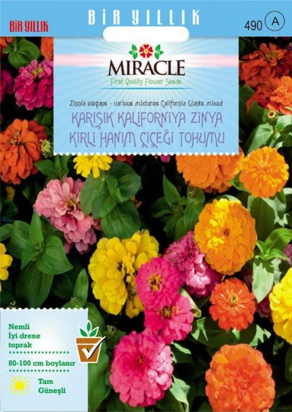 Miracle Karışık Kaliforniya Zinya Kirli Hanım Çiçeği Tohumu (50 tohum) ürün görseli 1