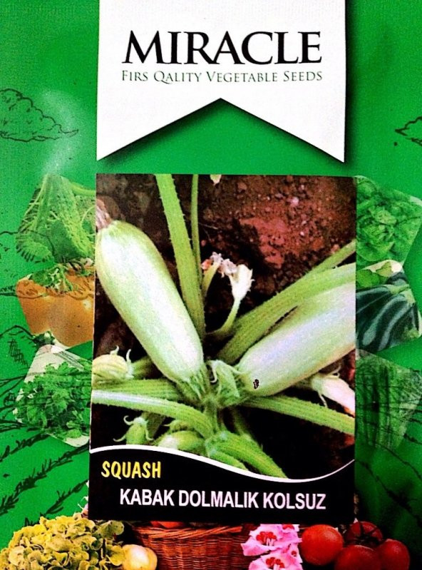 Doğal Siyah Sofralık Kızartmalık Kabak Tohumu (20 tohum) ürün görseli 1