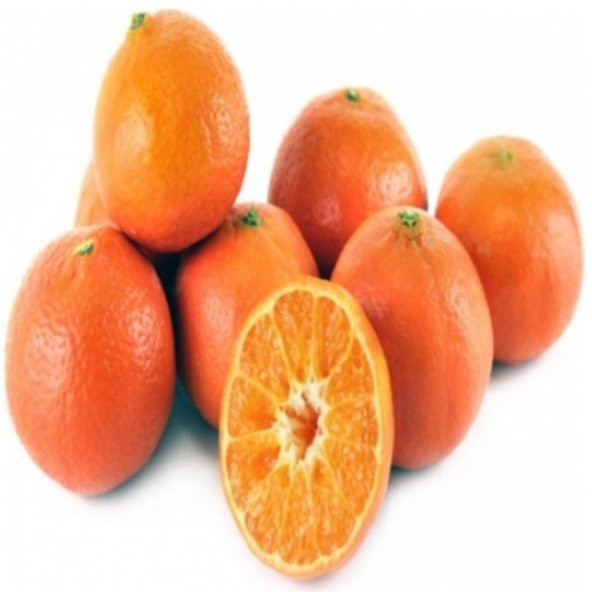 Tüplü Şeker Oranı Yüksek Fremont Mandalin Fidanı ürün görseli 1