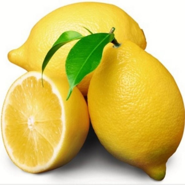Tüplü Enter Limon Fidanı ürün görseli 1