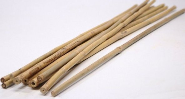Fidan Dikim Destek Çubuğu (70-75 cm-) (10 Adet) ürün görseli 1