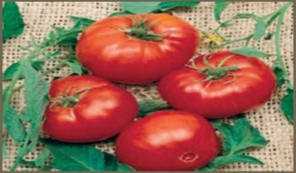 Doğal Brandywine Red Domates Tohumu(20 adet) ürün görseli 1