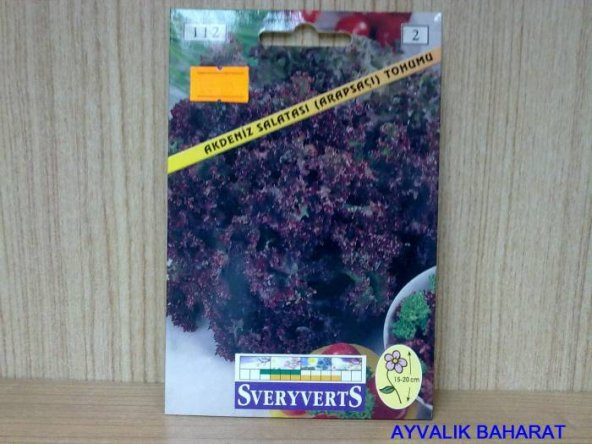 Akdeniz Salatası (Arapsaçı) Tohumu Paket Ücretsiz Kargo ürün görseli 1