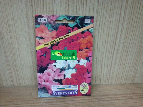 Cam Güzeli Çiçeği Tohumu Paket Ücretsiz Kargo ürün görseli 1
