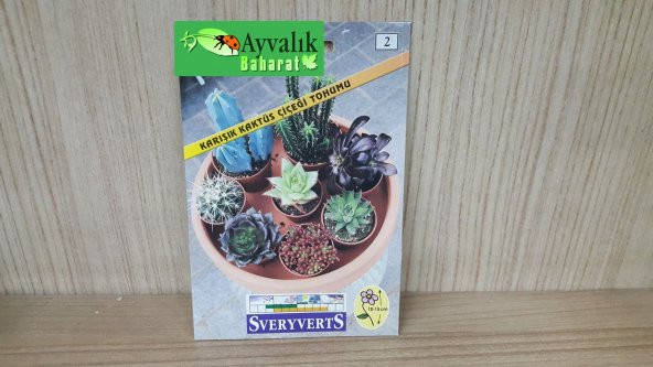 Karışık Kaktüs Çiçeği Tohumu Paket Ücretsiz Kargo ürün görseli 1