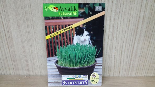 Kedi Otu Tohumu Paket Ücretsiz Kargo ürün görseli 1