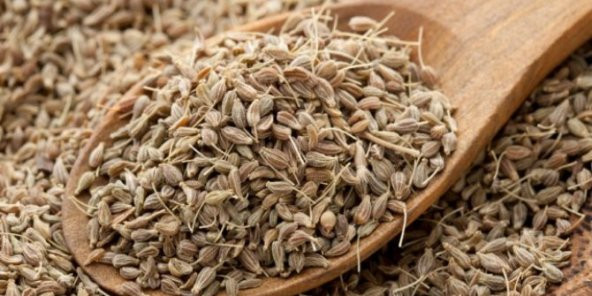 Maydanoz Tohumu 100 Gr Ücretsiz Kargo ürün görseli 1