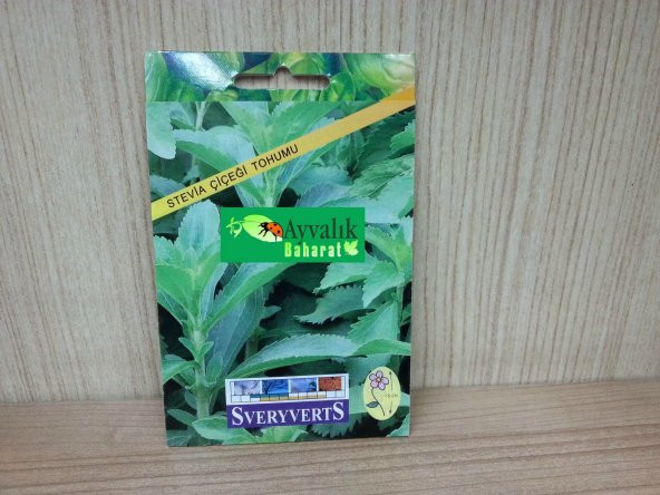 Stevia Çiçeği Tohumu Paket Ücretsiz Kargo ürün görseli 1