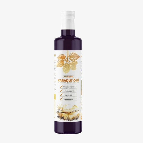 BİNNEBAT Karadut Özü Binnebat 700 Gr ürün görseli 1