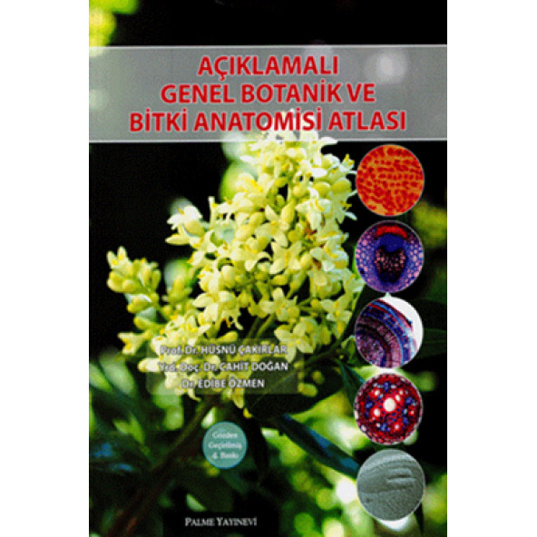 Açıklamalı Genel Botanik Ve Bitki Anatomisi Atlası ürün görseli 1