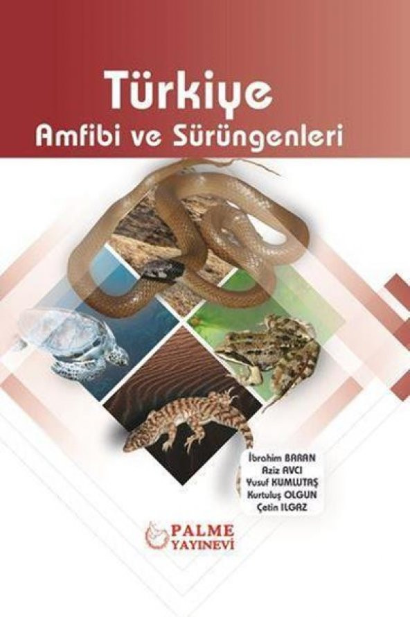 TÜRKİYE AMFİBİ VE SÜRÜNGENLERİ (PALME) ürün görseli 1