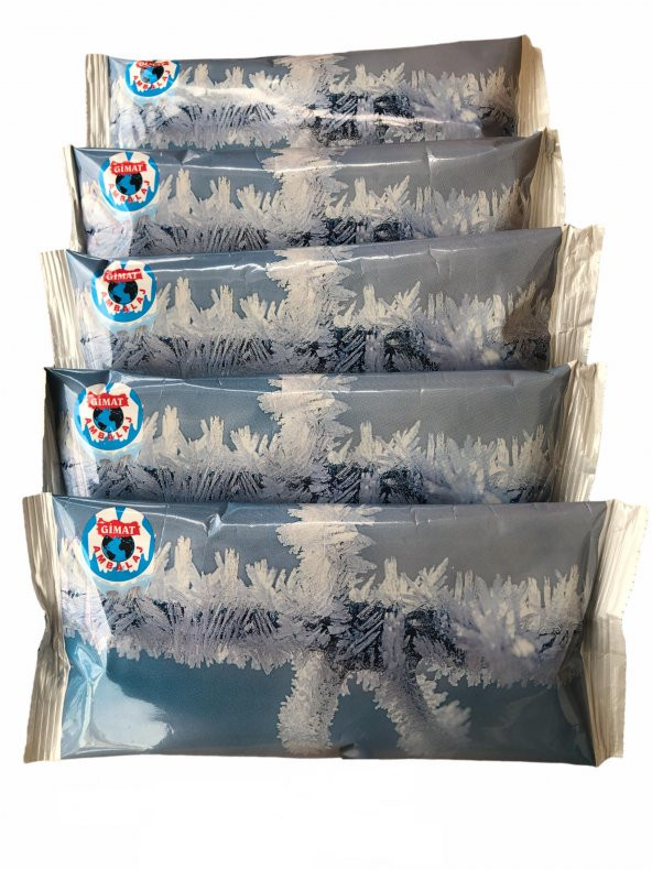 Jel İçerikli 280 gr Poşet Buz Aküsü 5 Adet - Resim 2