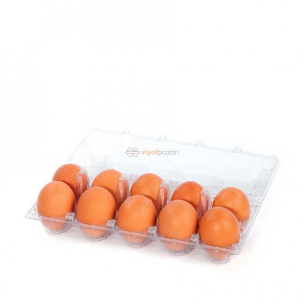 10Lu Plastik Yumurta Viyolü (200 Adet) - Resim 2