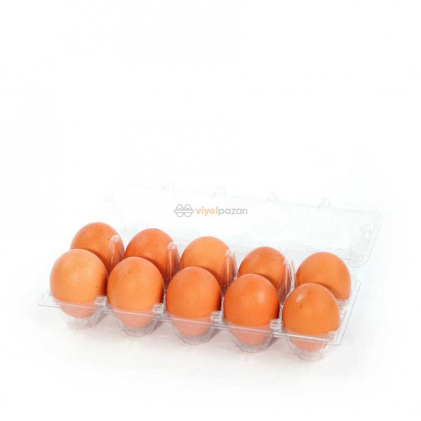10Lu Plastik Yumurta Viyolü (400 Adet) Larplast - Resim 2