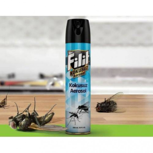 Filit Aerosol Kokusuz Sinek İlacı Sivrisinek İlacı Böcek İlacı Haşere İlacı 300 ml ürün görseli 1
