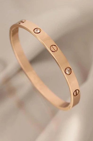 Taşlı Rose Çelik Bileklik ürün görseli 1