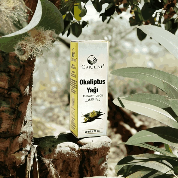 CURELIVE Okaliptus Yağı 20ml ürün görseli 1
