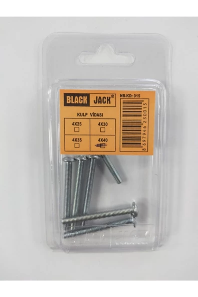 Kulp Vidası 4x40 ürün görseli 1