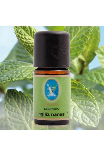 Defne Nu-ka Ingiliz Nanesi Yağı 10ml Organik ürün görseli 1