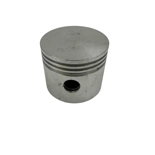 OZCO 2HP 100LT KOMPRESÖR PİSTON 55 MM ürün görseli 1