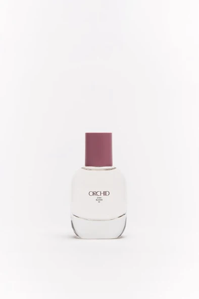 ZARA ORCHID EDP 30 ML (İNDİRİMSEHRİ - Resim 6