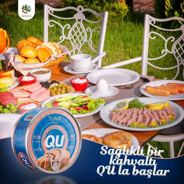 QU Sade  Ton Balığı 12X160 gr - Resim 2