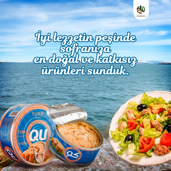 QU Sade Ton Balığı 6X160 gr - Resim 2