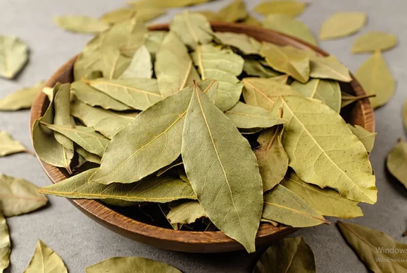Defne Yaprağı 1 KG ORGANİK ( Yeni Mahsül, Doğal Kurutulmuş, Elenmiş ) ürün görseli 1